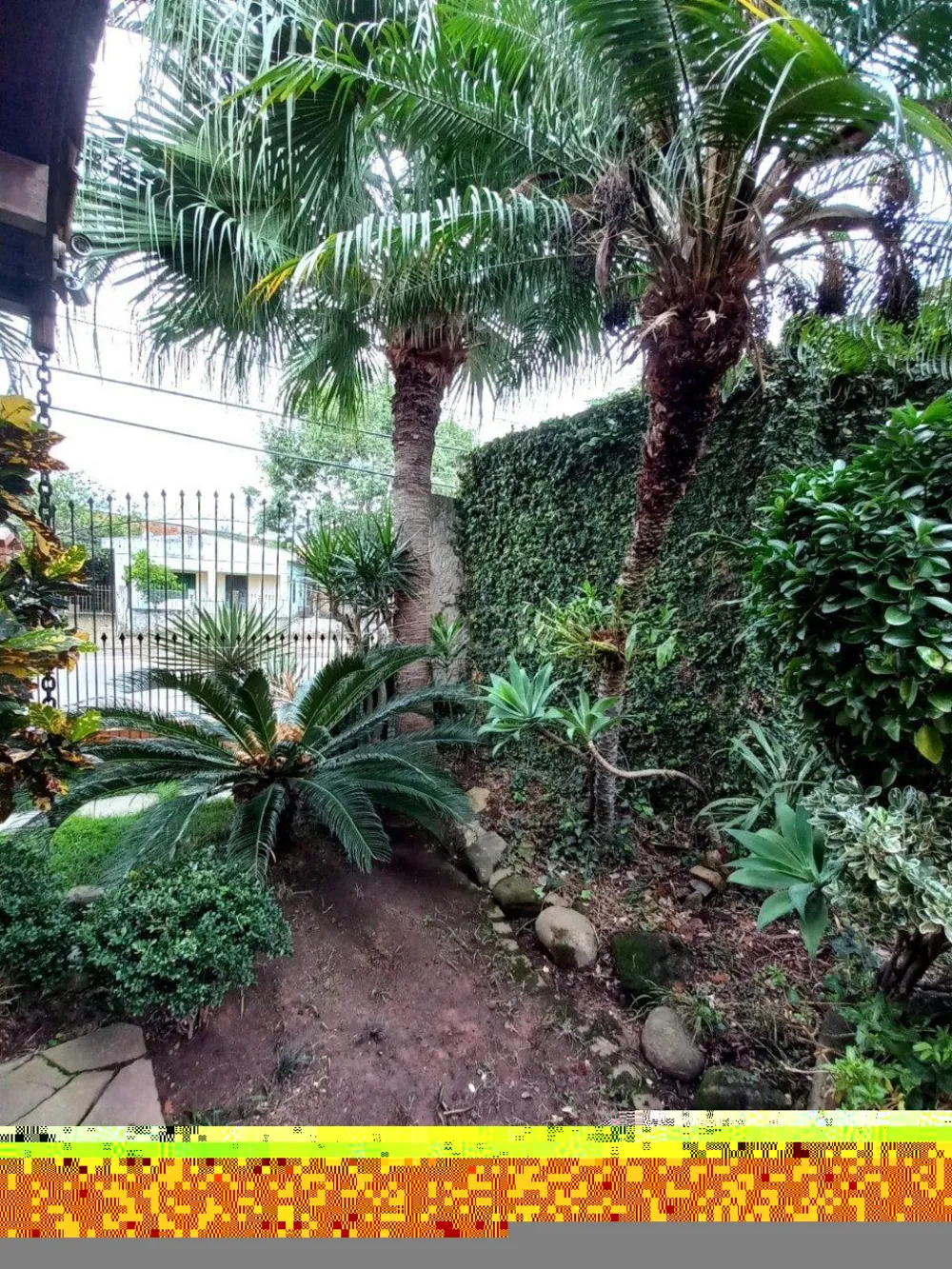 Apartamento, 4 quartos, 75 m² - Foto 3