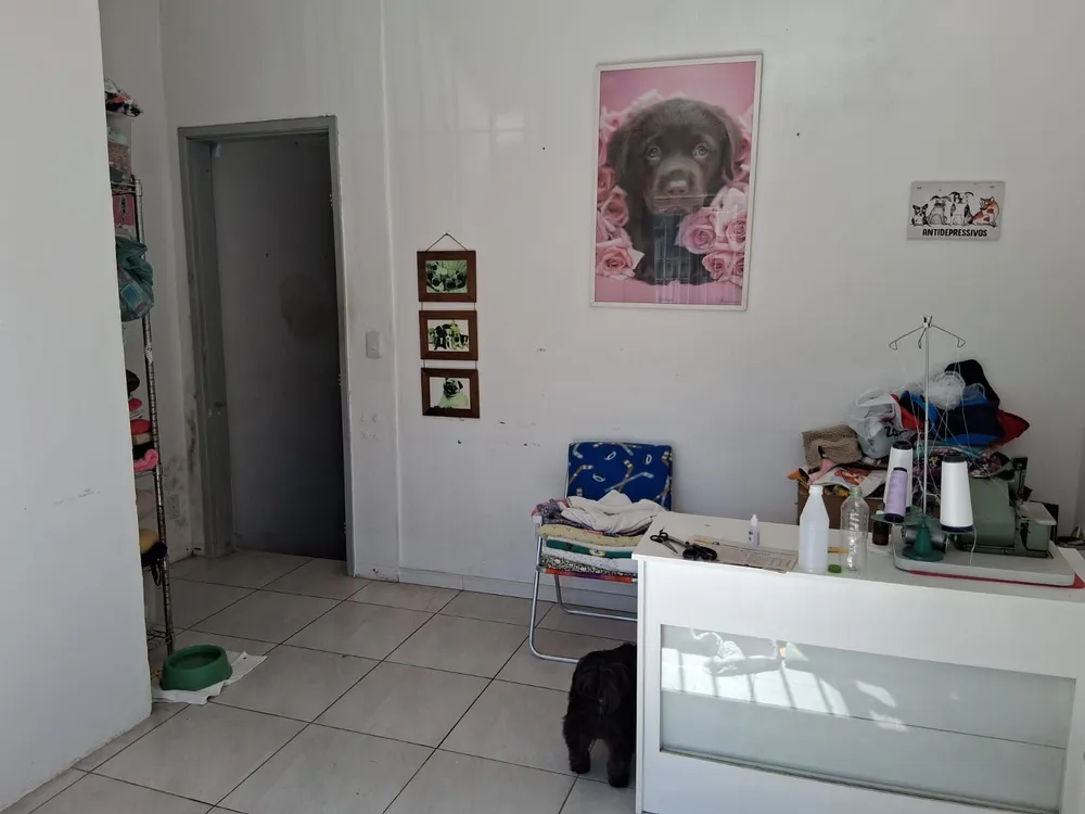 Depósito-Galpão, 290 m² - Foto 1