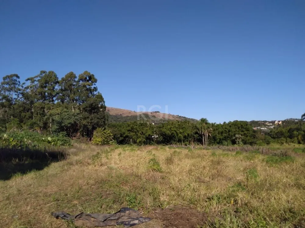 Terreno, 4 hectares - Foto 1