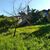 Terreno, 801 m² - Foto 5