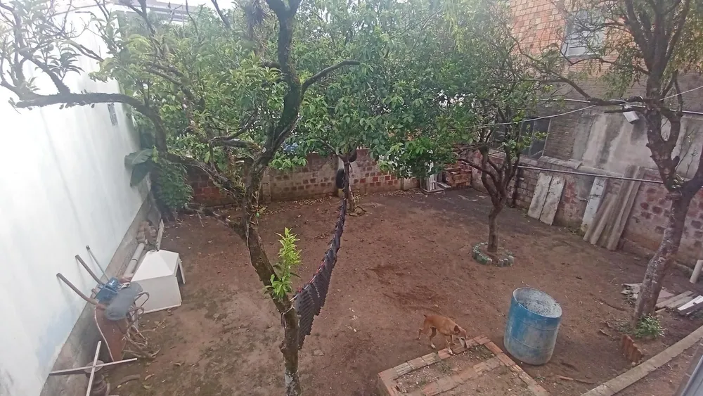 Apartamento, 2 quartos, 43 m² - Foto 5