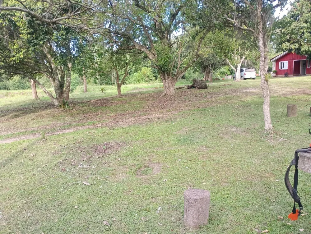 Sítio, 3 quartos, 301 m² - Foto 3