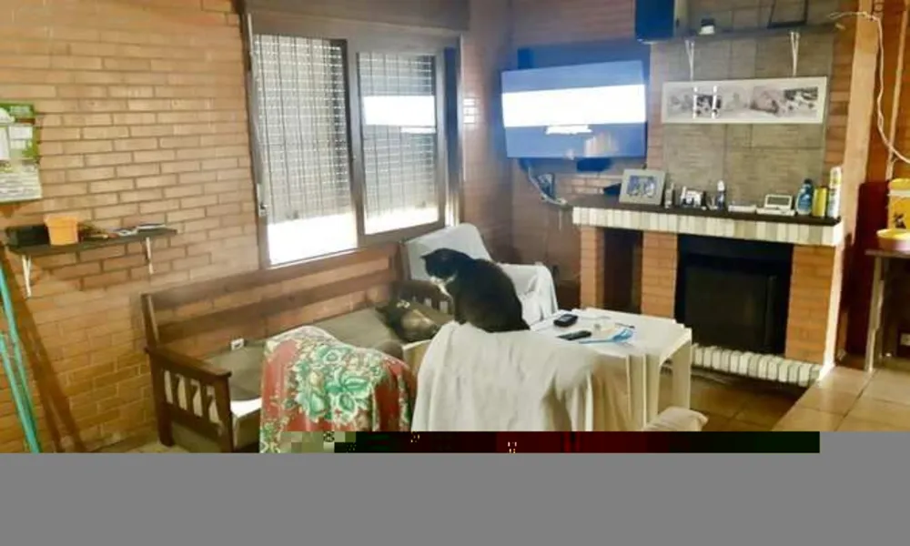 Prédio Inteiro, 763 m² - Foto 3