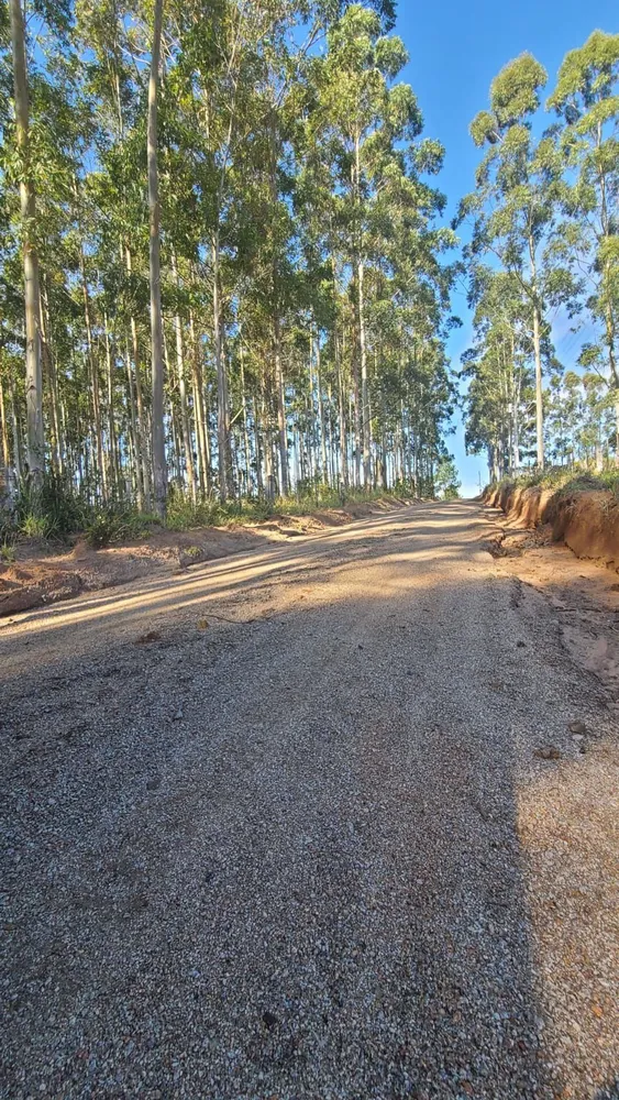 Terreno - Foto 5