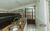 Casa, 5 quartos, 291 m² - Foto 2