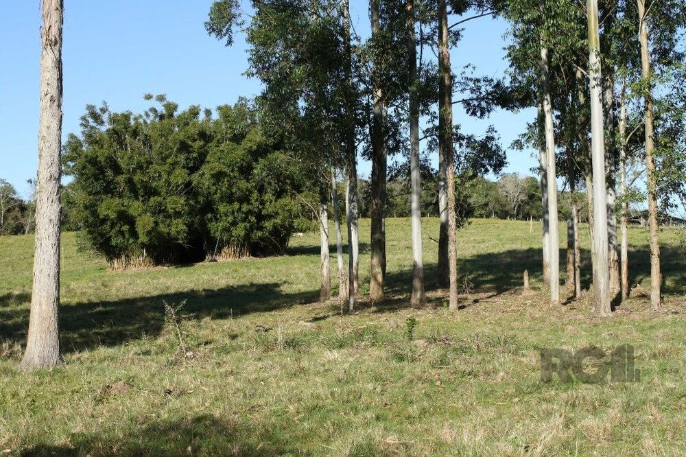 Terreno à venda, 1m² - Foto 7