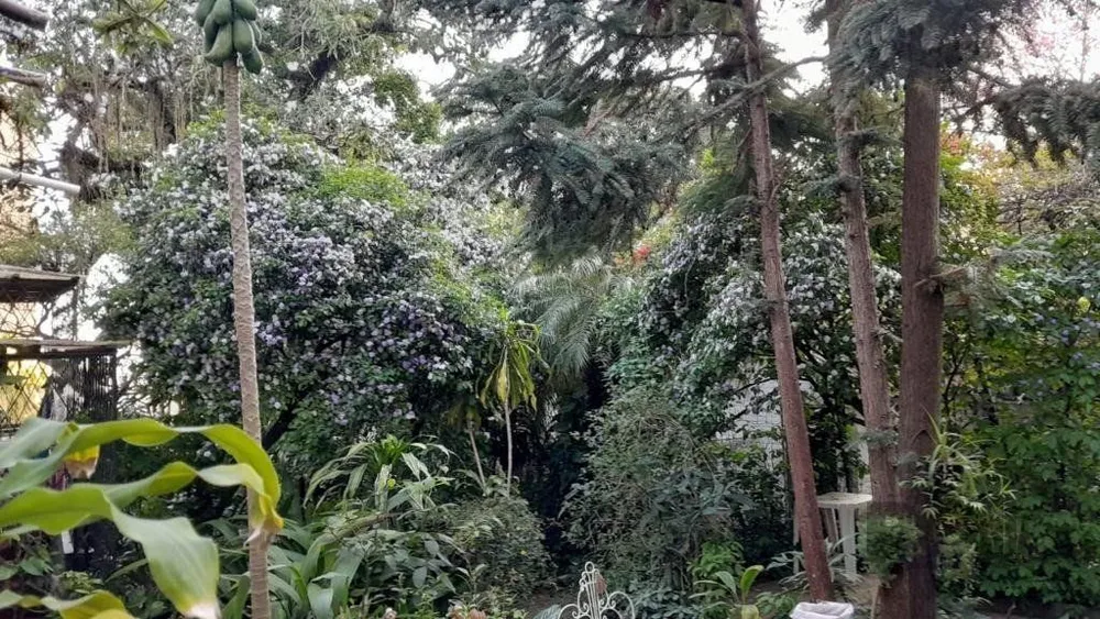 Casa, 6 quartos, 571 m² - Foto 5