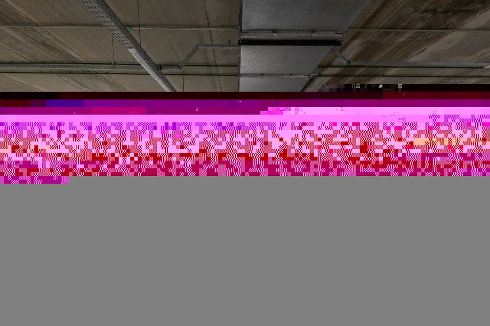 Kitnet-Studio, 36 m² - Foto 1