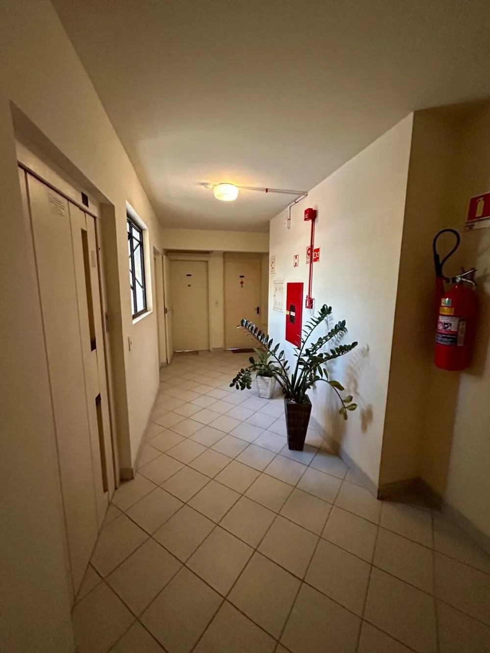 Casa, 3 quartos, 521 m² - Foto 4