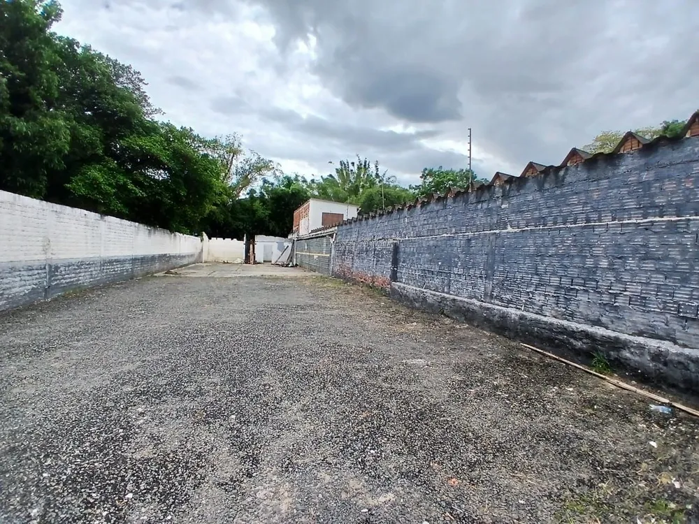 Casa, 4 quartos, 310 m² - Foto 3