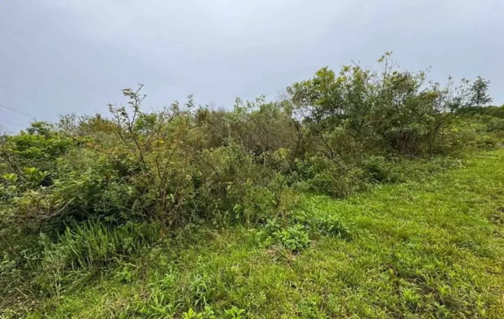 Terreno, 1 hectares - Foto 4
