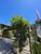 Terreno, 460 m² - Foto 2