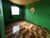 Sobrado, 4 quartos, 101 m² - Foto 4