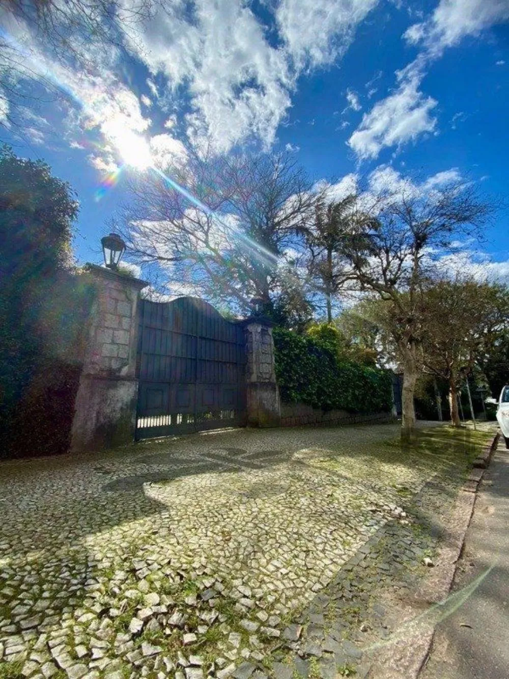 Loja-Salão, 299 m² - Foto 5