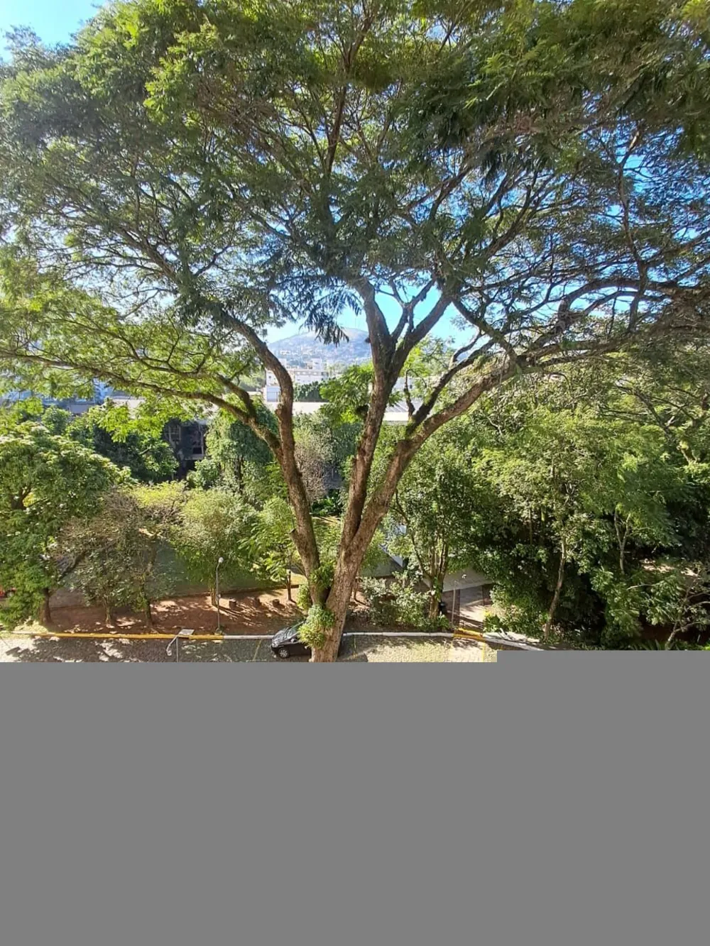 Casa, 3 quartos, 483 m² - Foto 1