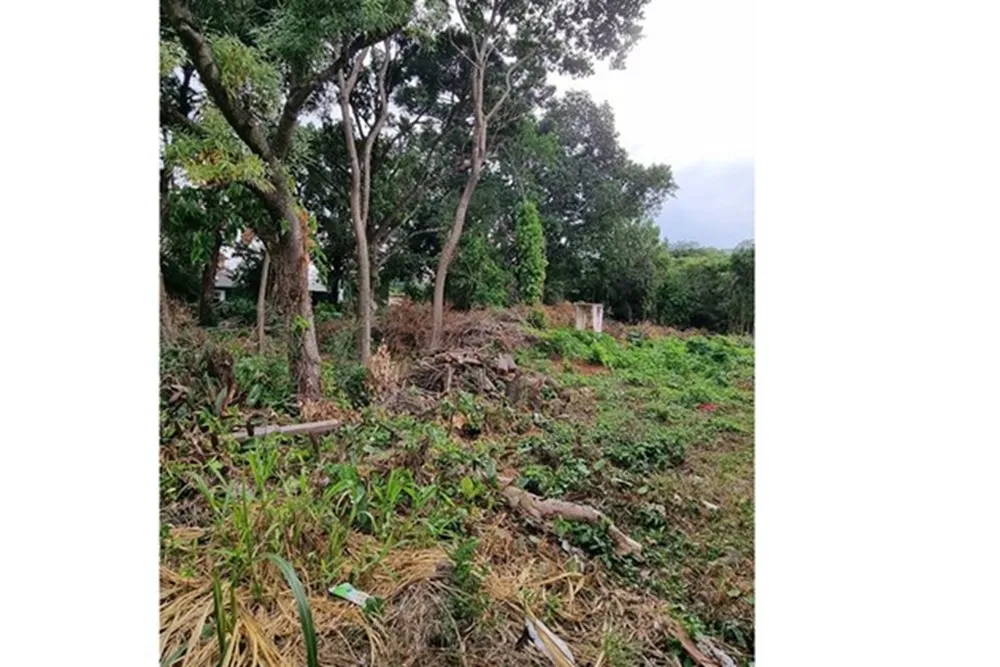 Terreno - Foto 4