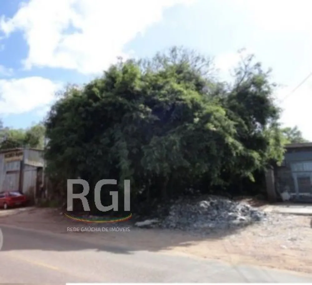 Terreno, 1501 m² - Foto 3