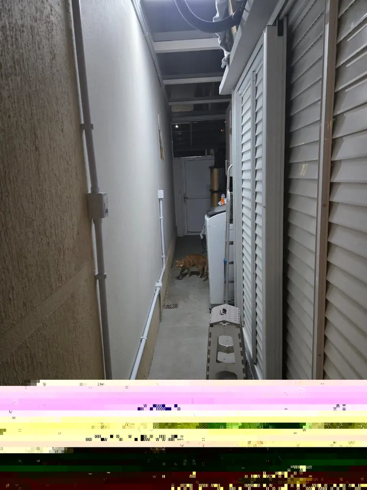 Casa, 3 quartos, 282 m² - Foto 7