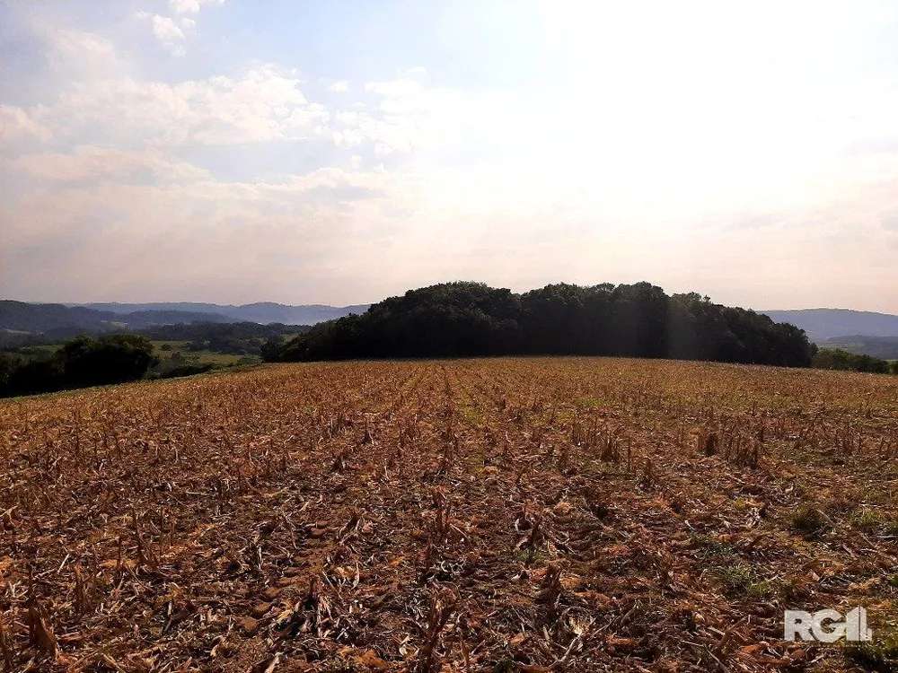 Terreno, 12 hectares - Foto 1