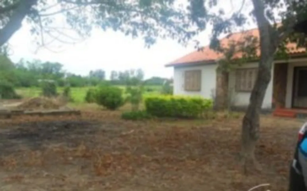 Terreno, 12 hectares - Foto 4
