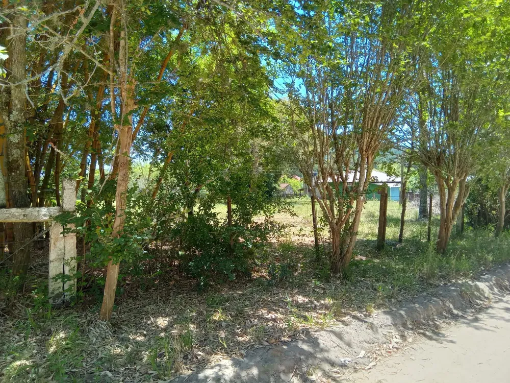 Casa, 5 quartos, 306 m² - Foto 4