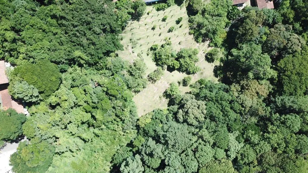 Terreno, 6799 m² - Foto 8