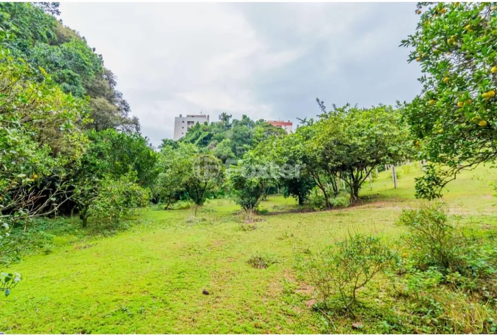 Terreno, 6799 m² - Foto 4