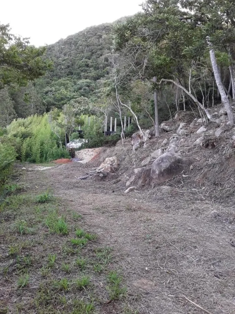 Terreno, 974 m² - Foto 3