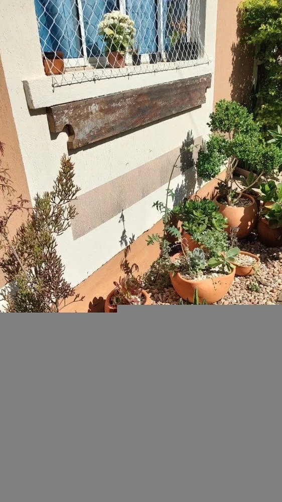 Terreno, 436 m² - Foto 4