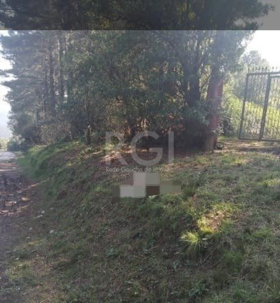 Terreno, 301 m² - Foto 6