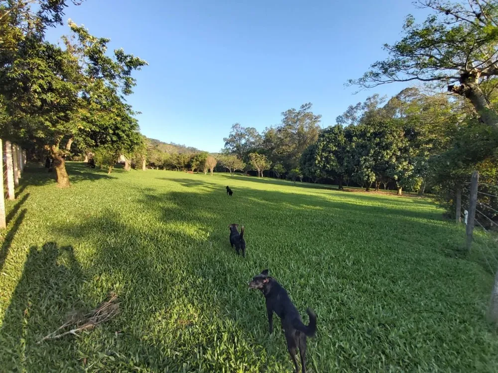 Prédio Inteiro - Foto 4