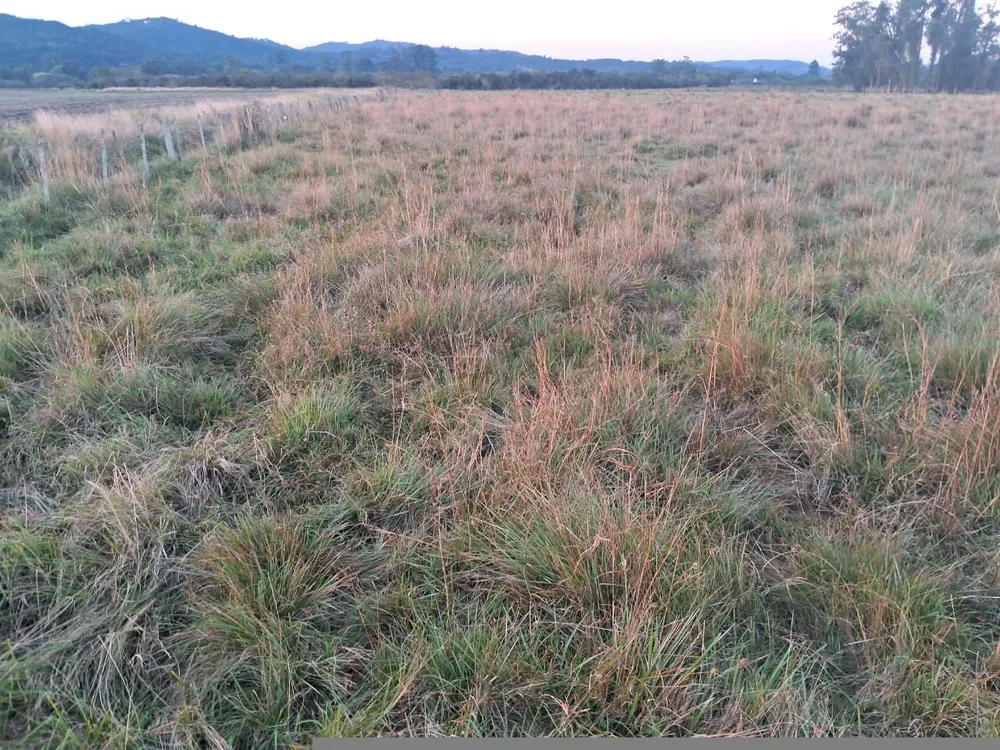 Terreno, 409 m² - Foto 5