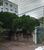Loja-Salão, 119 m² - Foto 1