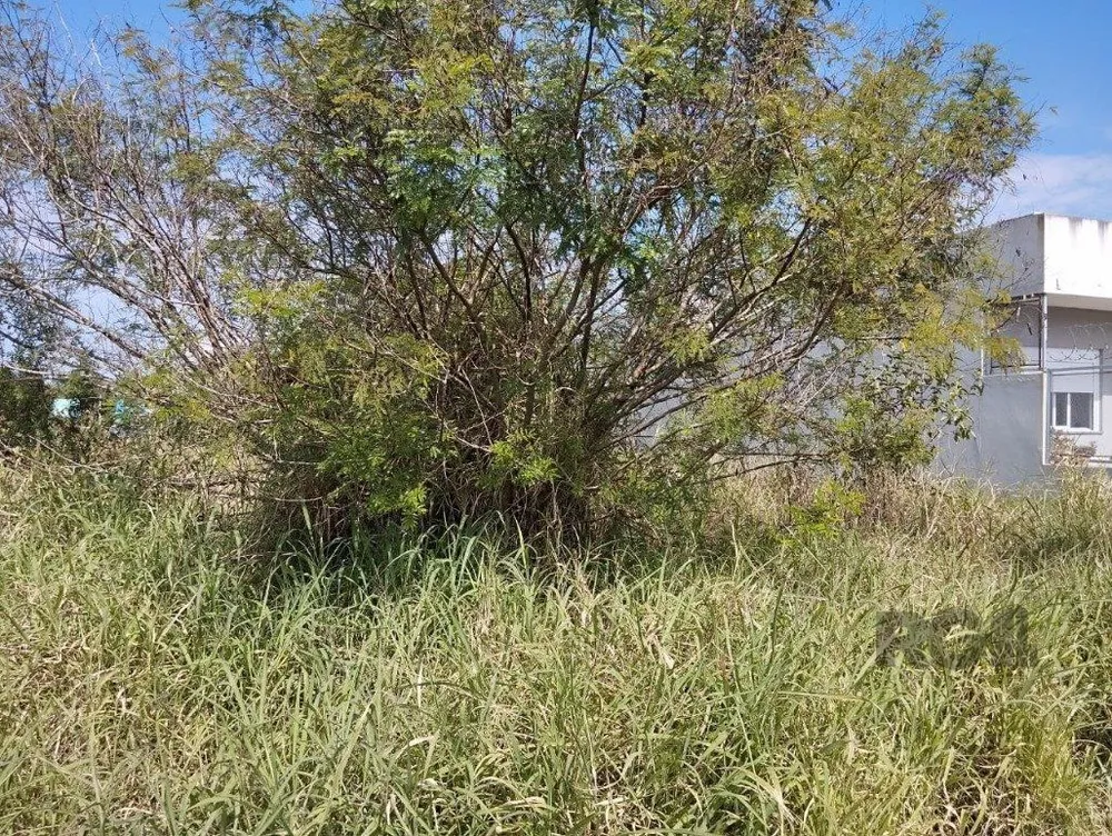 Terreno, 133 m² - Foto 2