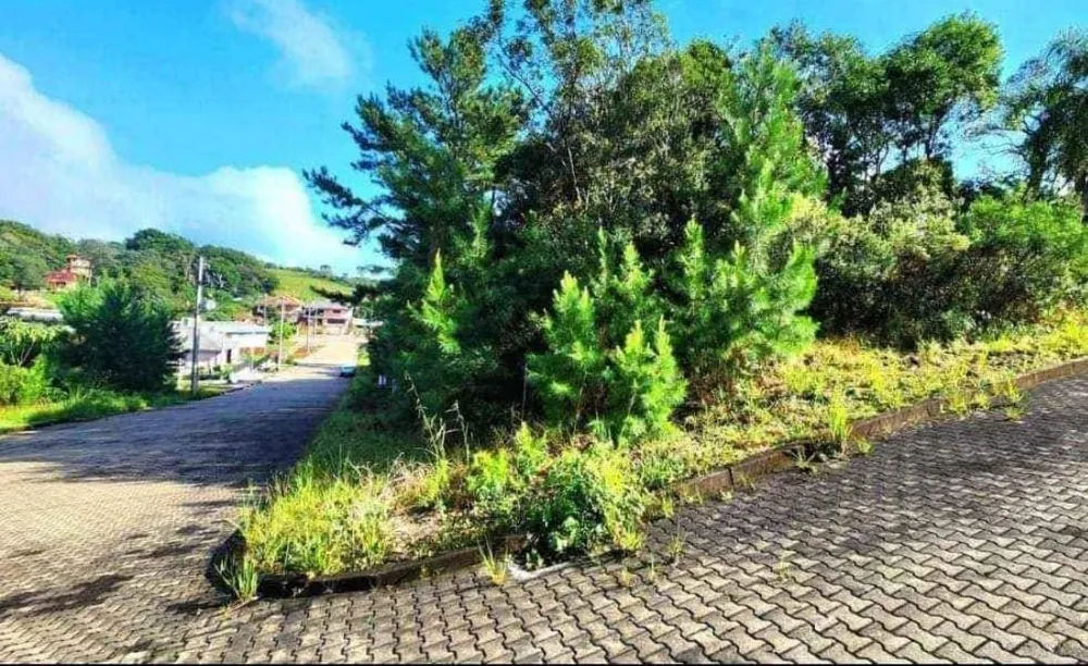 Terreno, 449 m² - Foto 2