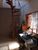 Casa, 3 quartos, 181 m² - Foto 3