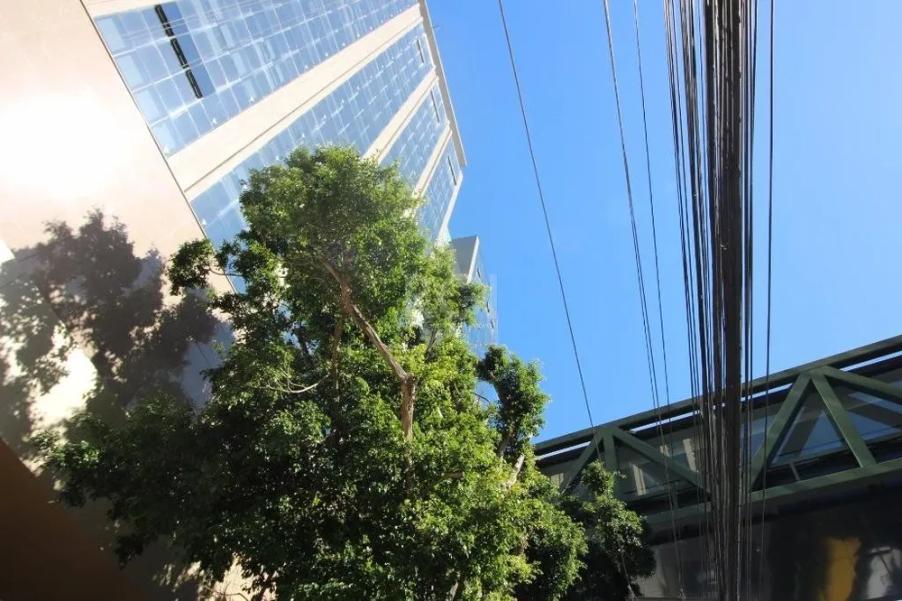 Cobertura, 3 quartos, 330 m² - Foto 1
