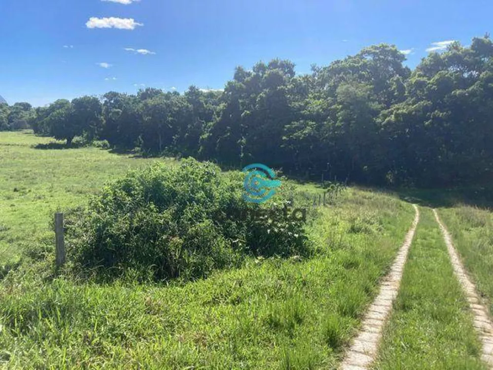 Fazenda, 24 hectares - Foto 3