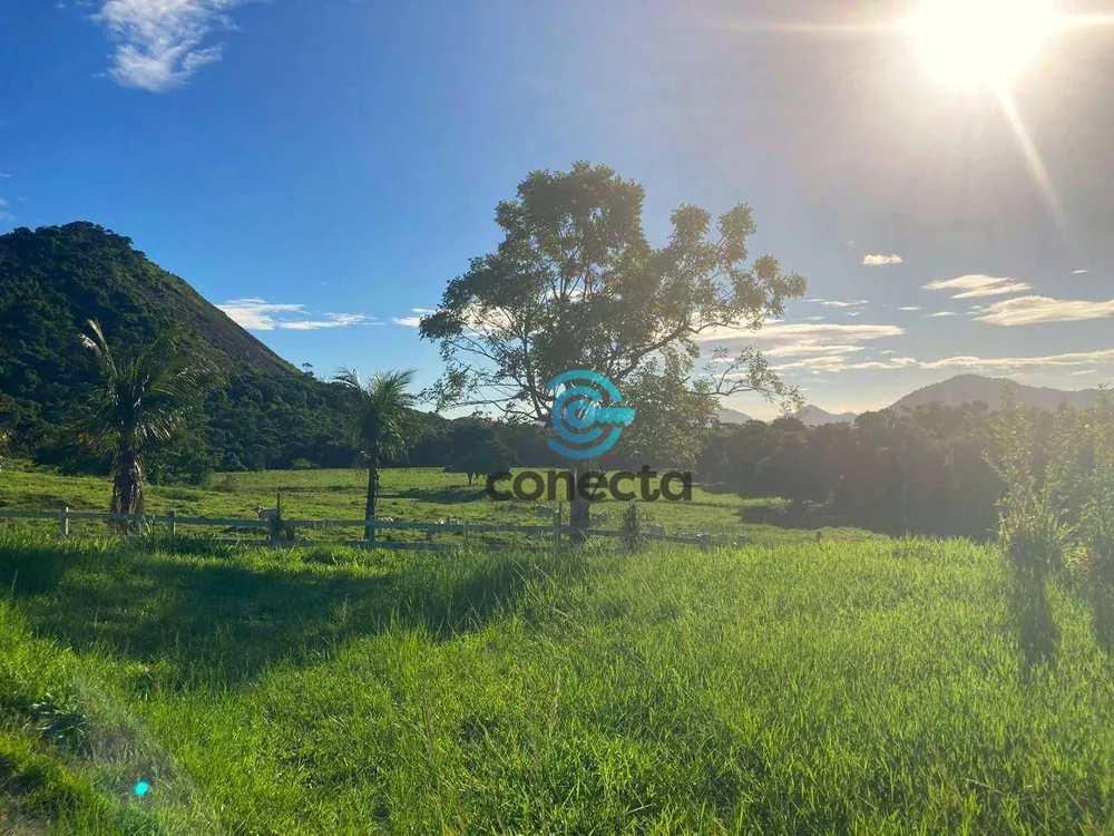Fazenda, 24 hectares - Foto 19