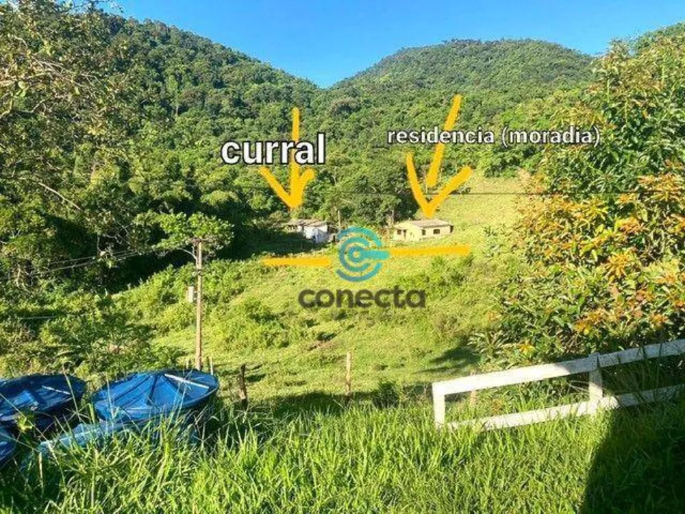 Fazenda, 24 hectares - Foto 27