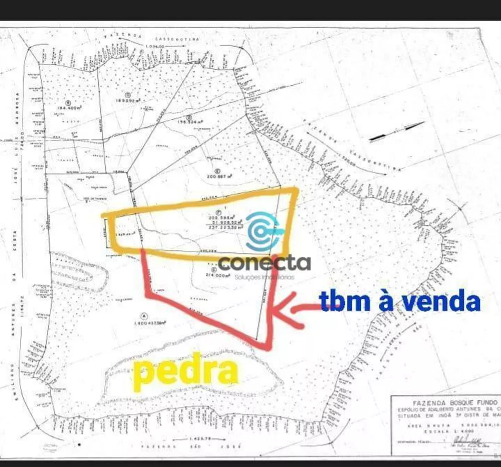 Fazenda, 24 hectares - Foto 28