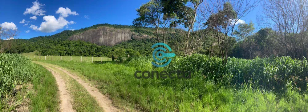 Fazenda, 24 hectares - Foto 2