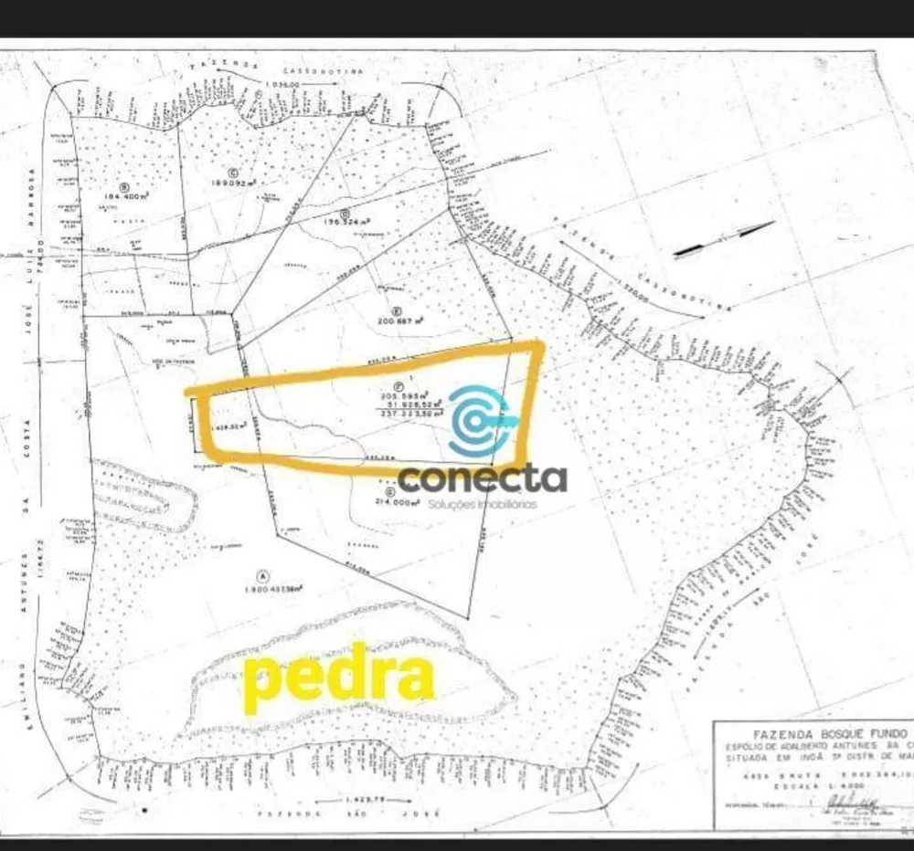 Fazenda, 24 hectares - Foto 5