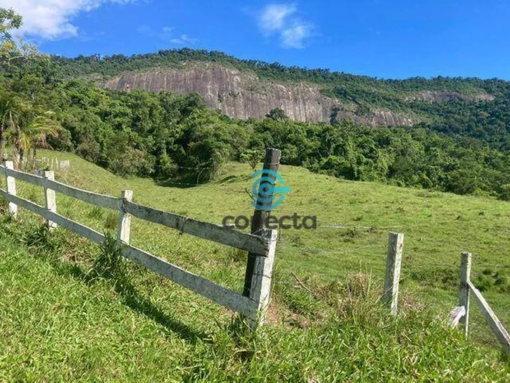 Fazenda, 24 hectares - Foto 7
