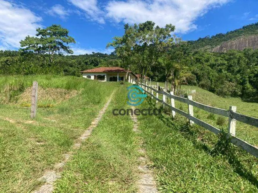 Fazenda, 24 hectares - Foto 17