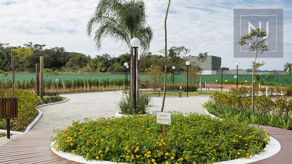Terreno, 538 m² - Foto 6