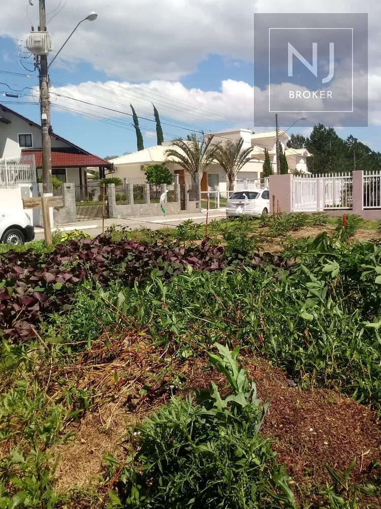 Terreno, 575 m² - Foto 4