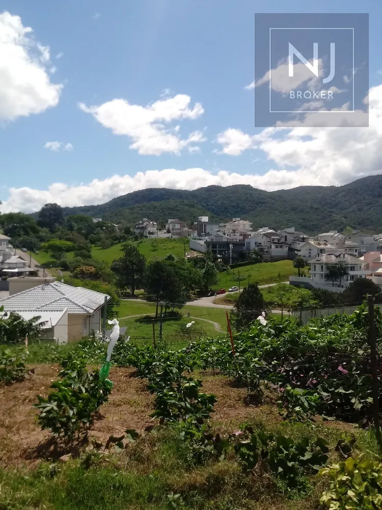 Terreno, 575 m² - Foto 6