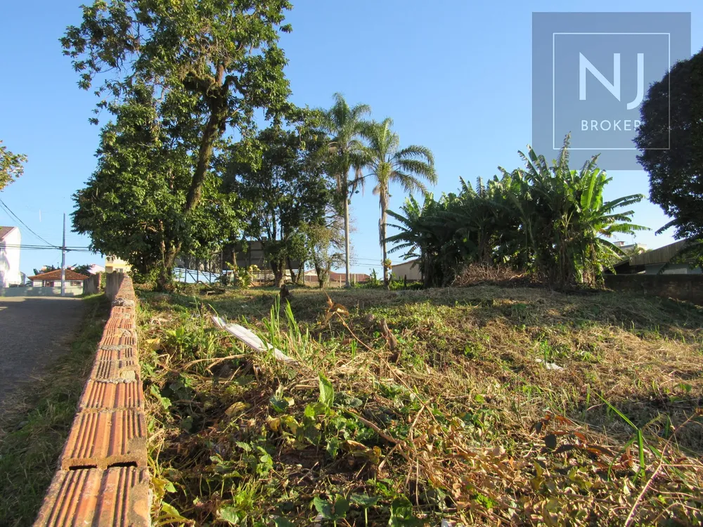 Terreno, 1068 m² - Foto 5