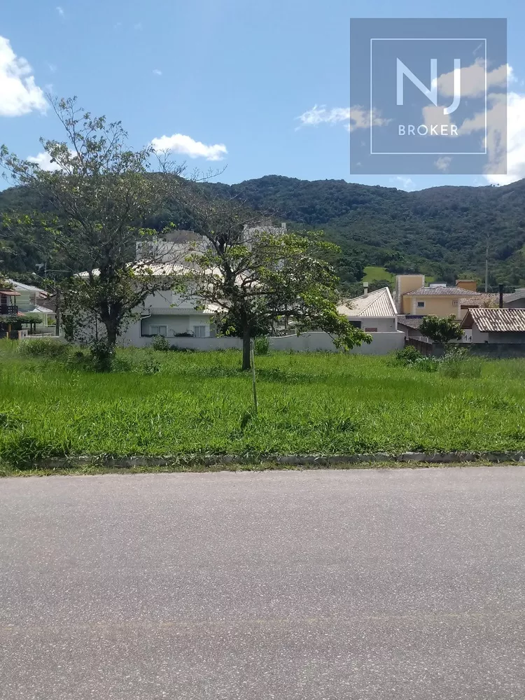 Terreno, 497 m² - Foto 3